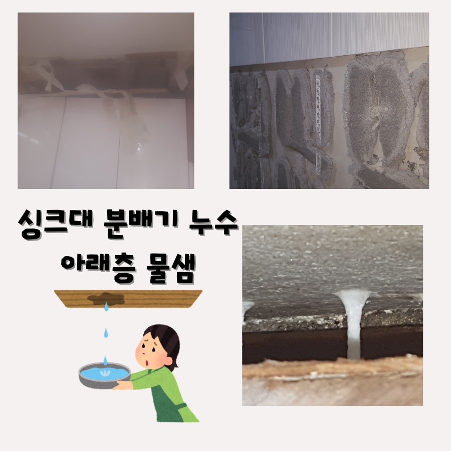 물왕동누수탐지 빌라 욕실 바닥 누수 점검 사진 1